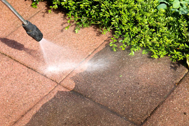 Best Pressure Washing Services Near Me  in Lake Riverside, CA